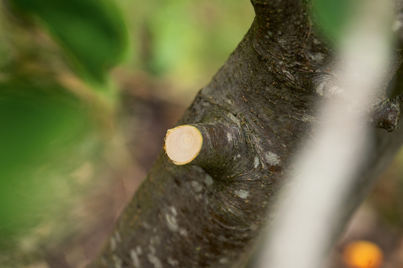 Anwendungsbild